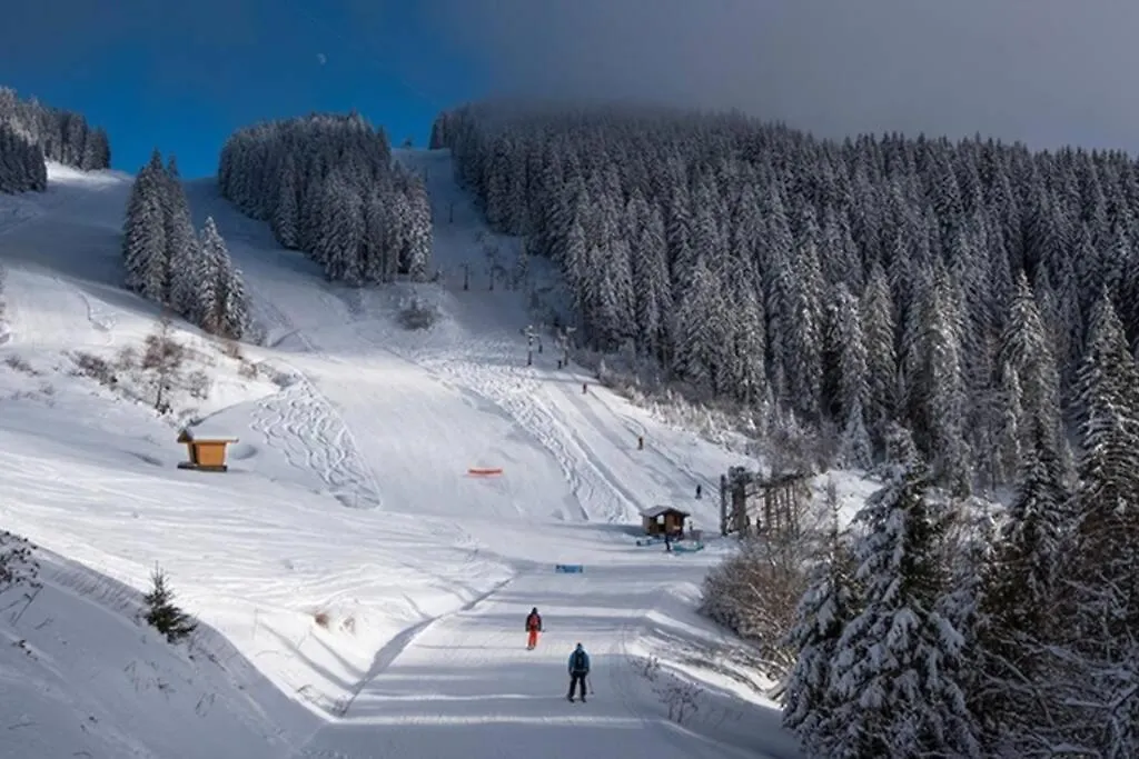 Appartement Le Relai S31 - Grand et lumineux studio avec coin montagne 4-6 pers, tout équipé, avec WIFI, à 30m des pistes avec un grand balcon, DRAPS NON COMPRIS Saint-Jean-dʼAulps France