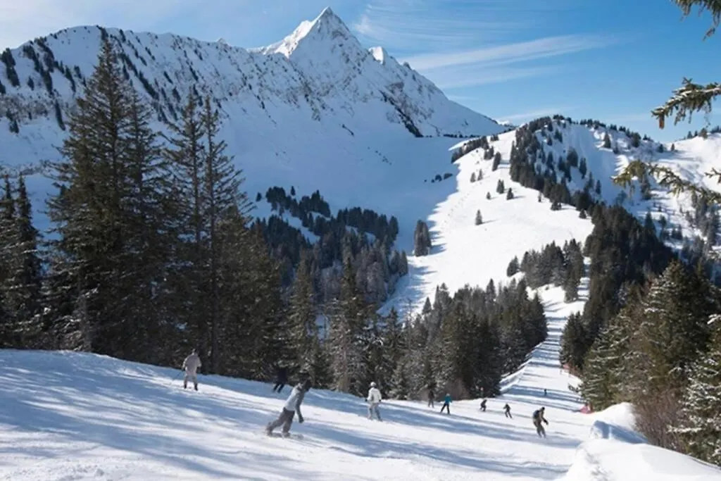 Le Relai S31 - Grand Et Lumineux Studio Avec Coin Montagne 4-6 Pers, Tout Equipe, Avec Wifi, A 30M Des Pistes Avec Un Grand Balcon, Draps Non Compris Saint-Jean-dʼAulps 0*,